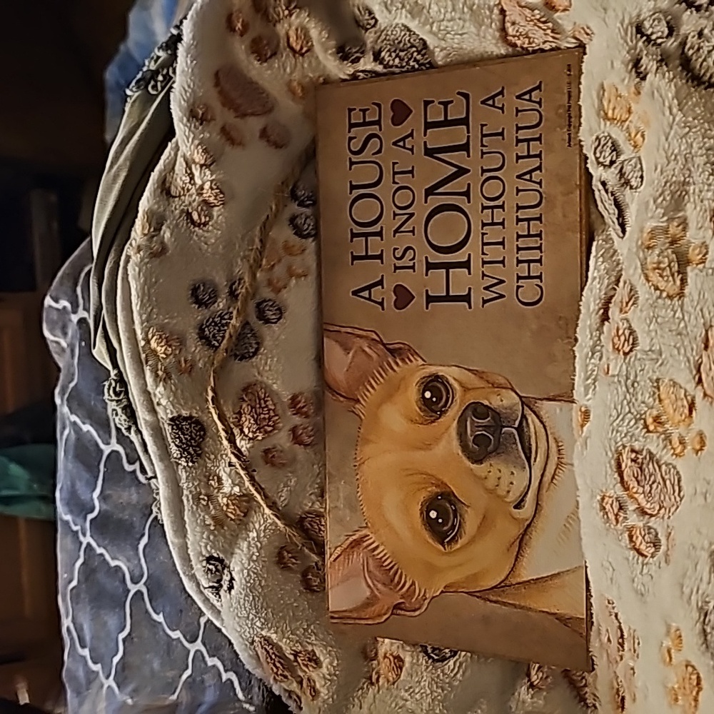 Chihuahua home decor plaque